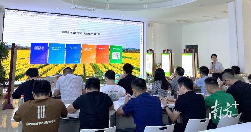 普宁网站建设：如何在众多网站中脱颖而出？